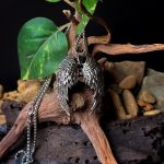 Angel Wing Locket 2.0 - Image 3