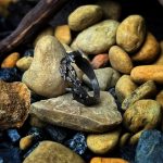 Thorn Ring 2.0 - Image 3