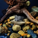 Angel Wing Ring 2.0 - Image 3