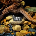 Angel Wing Ring 2.0 - Image 4