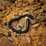 Regal Black Bracelet - Image 3